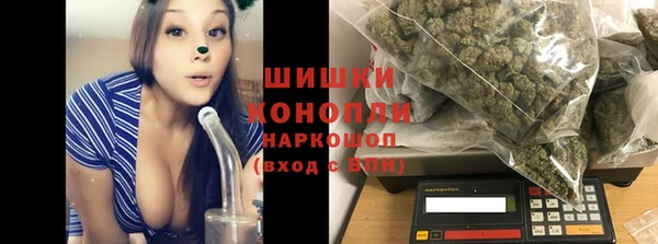 PSILOCYBIN Аркадак