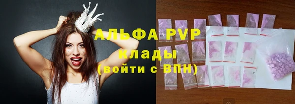 PSILOCYBIN Аркадак