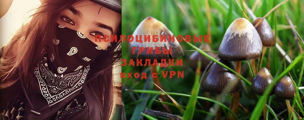 ALPHA-PVP Арсеньев