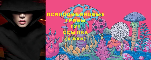 дживик Армянск