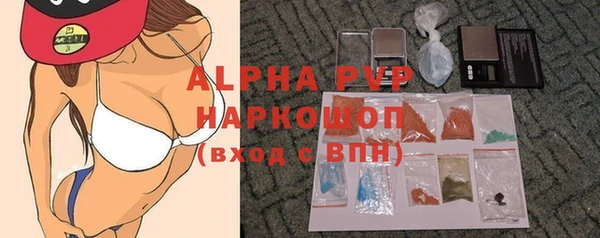 PSILOCYBIN Аркадак