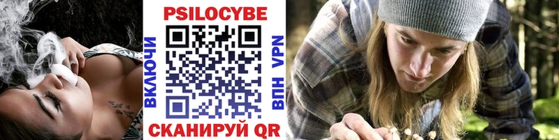 ОМГ ОМГ зеркало Лесной Галлюциногенные грибы Psilocybine cubensis