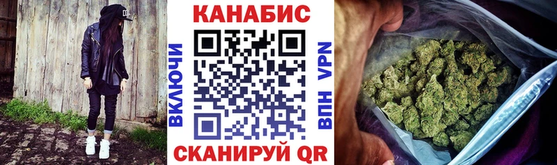 Бошки Шишки семена  Лесной 